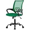 Home Office Chair Ergonomic Desk Chairs