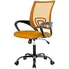 Home Office Chair Ergonomic Desk Chairs