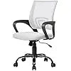 Home Office Chair Ergonomic Desk Chairs